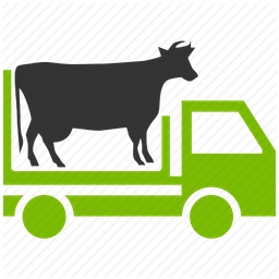 Cow Wagon