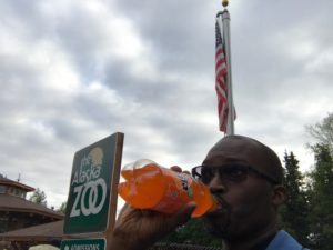 Fanta at The Alaska Zoo